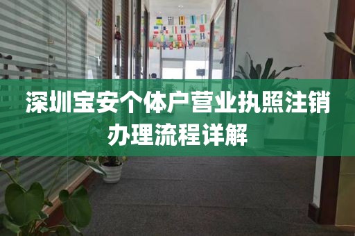 深圳宝安个体户营业执照注销办理流程详解