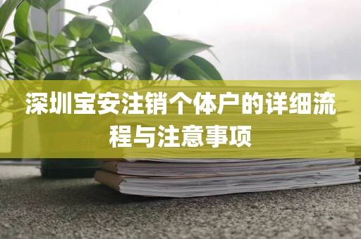 深圳宝安注销个体户的详细流程与注意事项