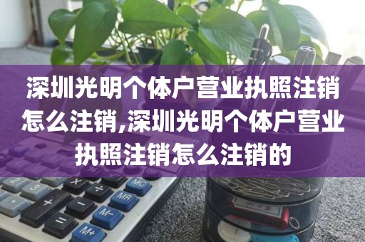 深圳光明个体户营业执照注销怎么注销,深圳光明个体户营业执照注销怎么注销的