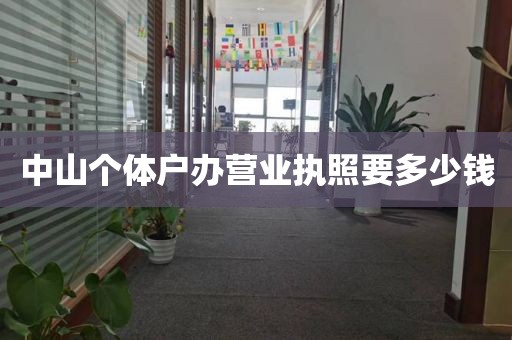 中山个体户办营业执照要多少钱