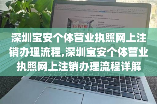 深圳宝安个体营业执照网上注销办理流程,深圳宝安个体营业执照网上注销办理流程详解
