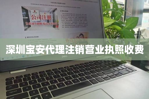 深圳宝安代理注销营业执照收费
