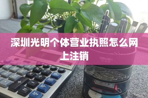 深圳光明个体营业执照怎么网上注销