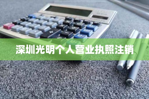 深圳光明个人营业执照注销