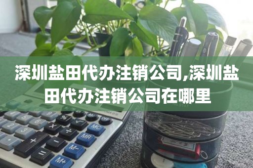 深圳盐田代办注销公司,深圳盐田代办注销公司在哪里