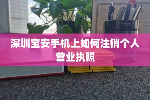 深圳宝安手机上如何注销个人营业执照
