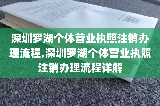 深圳罗湖个体营业执照注销办理流程,深圳罗湖个体营业执照注销办理流程详解