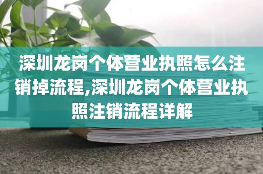 深圳龙岗个体营业执照怎么注销掉流程,深圳龙岗个体营业执照注销流程详解