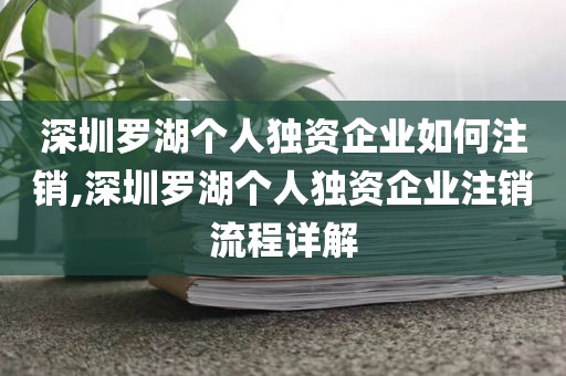 深圳罗湖个人独资企业如何注销,深圳罗湖个人独资企业注销流程详解