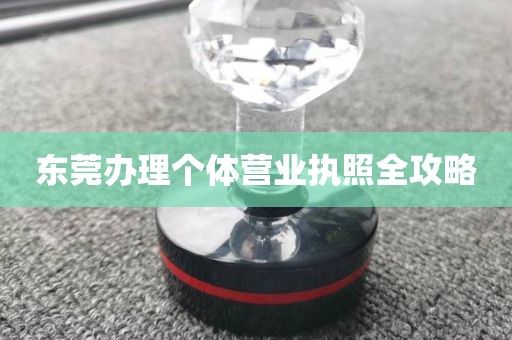 东莞办理个体营业执照全攻略