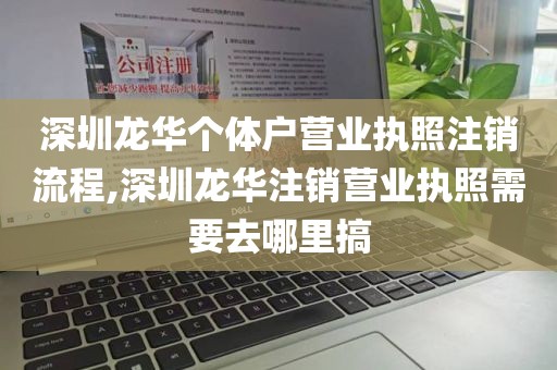 深圳龙华个体户营业执照注销流程,深圳龙华注销营业执照需要去哪里搞
