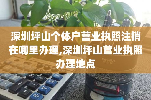 深圳坪山个体户营业执照注销在哪里办理,深圳坪山营业执照办理地点