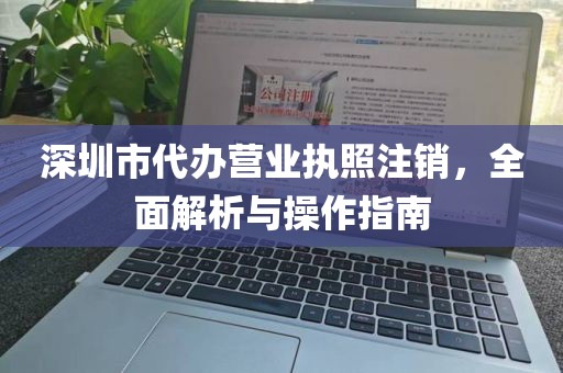 深圳市代办营业执照注销，全面解析与操作指南