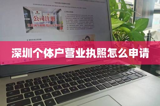 深圳个体户营业执照怎么申请