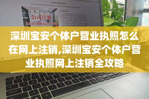 深圳宝安个体户营业执照怎么在网上注销,深圳宝安个体户营业执照网上注销全攻略