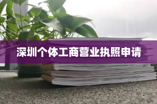 深圳个体工商营业执照申请