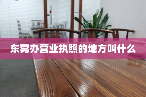 东莞办营业执照的地方叫什么