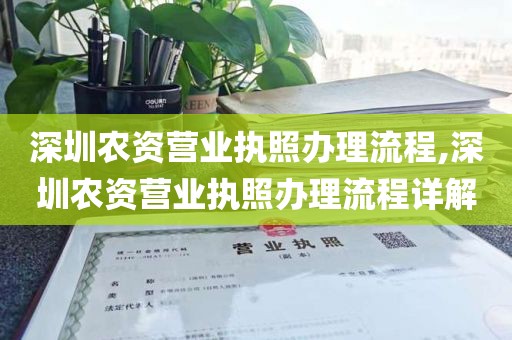 深圳农资营业执照办理流程,深圳农资营业执照办理流程详解