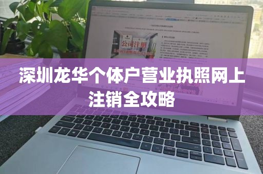 深圳龙华个体户营业执照网上注销全攻略