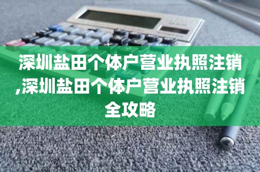 深圳盐田个体户营业执照注销,深圳盐田个体户营业执照注销全攻略