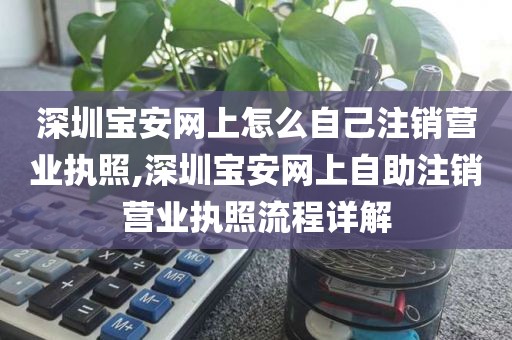 深圳宝安网上怎么自己注销营业执照,深圳宝安网上自助注销营业执照流程详解