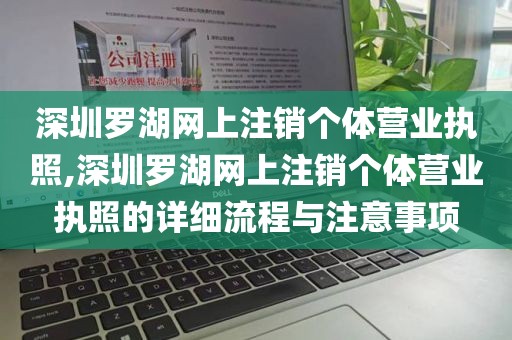 深圳罗湖网上注销个体营业执照,深圳罗湖网上注销个体营业执照的详细流程与注意事项
