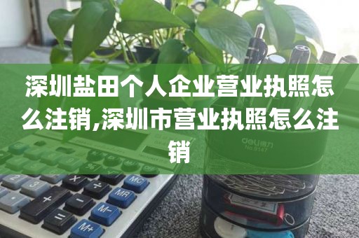 深圳盐田个人企业营业执照怎么注销,深圳市营业执照怎么注销