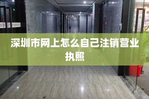 深圳市网上怎么自己注销营业执照