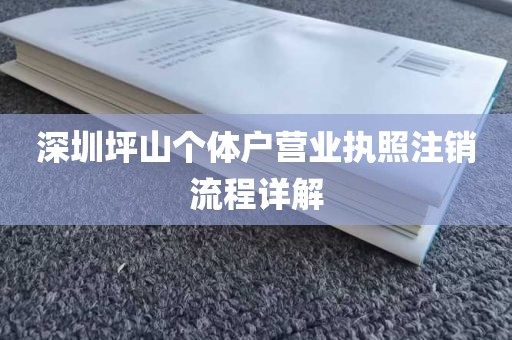 深圳坪山个体户营业执照注销流程详解
