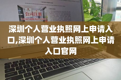 深圳个人营业执照网上申请入口,深圳个人营业执照网上申请入口官网