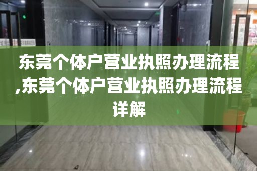 东莞个体户营业执照办理流程,东莞个体户营业执照办理流程详解