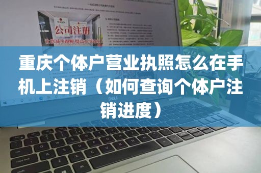 重庆个体户营业执照怎么在手机上注销（如何查询个体户注销进度）