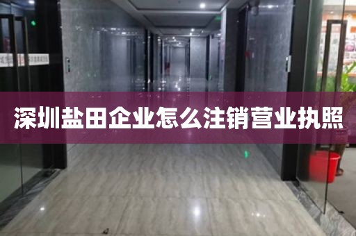 深圳盐田企业怎么注销营业执照
