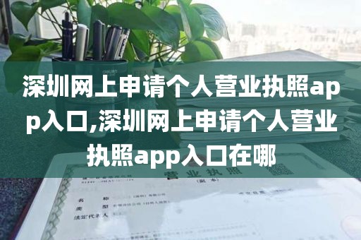 深圳网上申请个人营业执照app入口,深圳网上申请个人营业执照app入口在哪