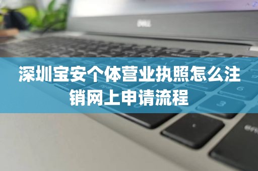 深圳宝安个体营业执照怎么注销网上申请流程