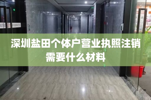 深圳盐田个体户营业执照注销需要什么材料