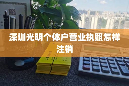 深圳光明个体户营业执照怎样注销