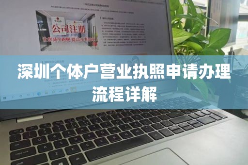 深圳个体户营业执照申请办理流程详解