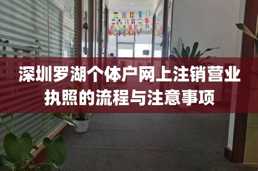 深圳罗湖个体户网上注销营业执照的流程与注意事项