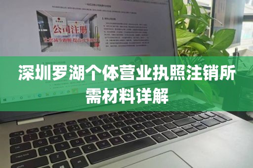深圳罗湖个体营业执照注销所需材料详解