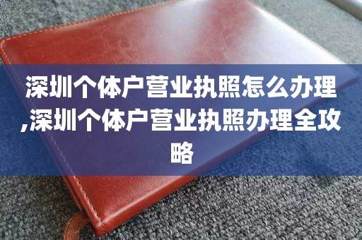 深圳个体户营业执照怎么办理,深圳个体户营业执照办理全攻略