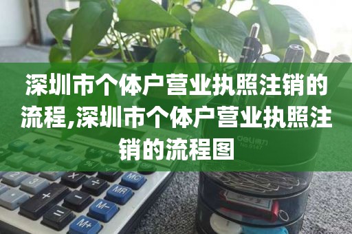 深圳市个体户营业执照注销的流程,深圳市个体户营业执照注销的流程图