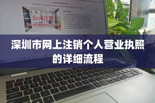 深圳市网上注销个人营业执照的详细流程
