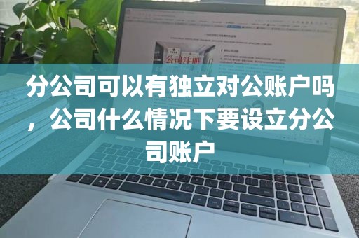 分公司可以有独立对公账户吗，公司什么情况下要设立分公司账户