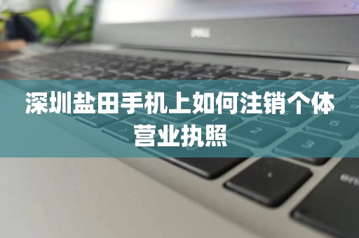深圳盐田手机上如何注销个体营业执照
