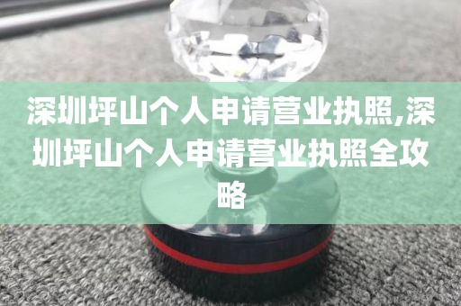 深圳坪山个人申请营业执照,深圳坪山个人申请营业执照全攻略