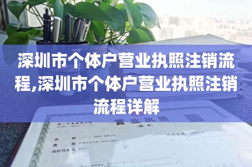 深圳市个体户营业执照注销流程,深圳市个体户营业执照注销流程详解