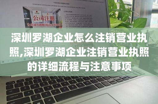深圳罗湖企业怎么注销营业执照,深圳罗湖企业注销营业执照的详细流程与注意事项