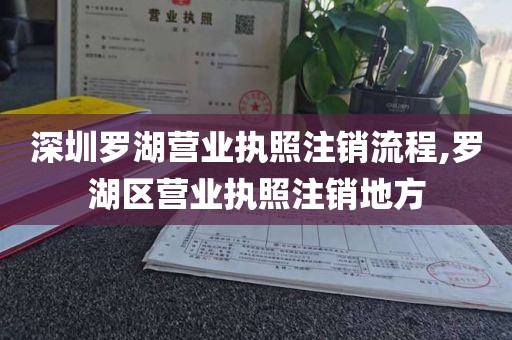 深圳罗湖营业执照注销流程,罗湖区营业执照注销地方