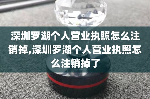 深圳罗湖个人营业执照怎么注销掉,深圳罗湖个人营业执照怎么注销掉了